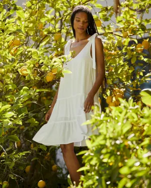 Carolina Tie Dress Petite Chic