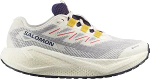 Salomon Aero Blaze 3 GRVL GORE-TEX Womens Trail Running Shoes - White fashionable - functional shoes Cushioned Midsole Technology