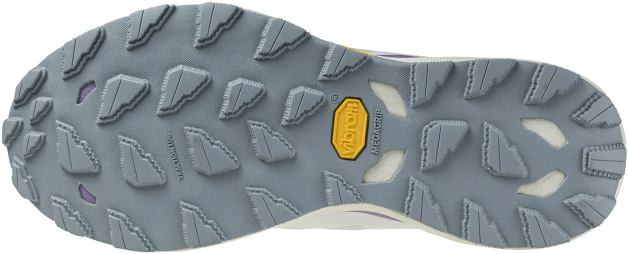 Mizuno Wave Daichi 9 GORE-TEX Womens Trail Running Shoes - White national - team - themed running gear