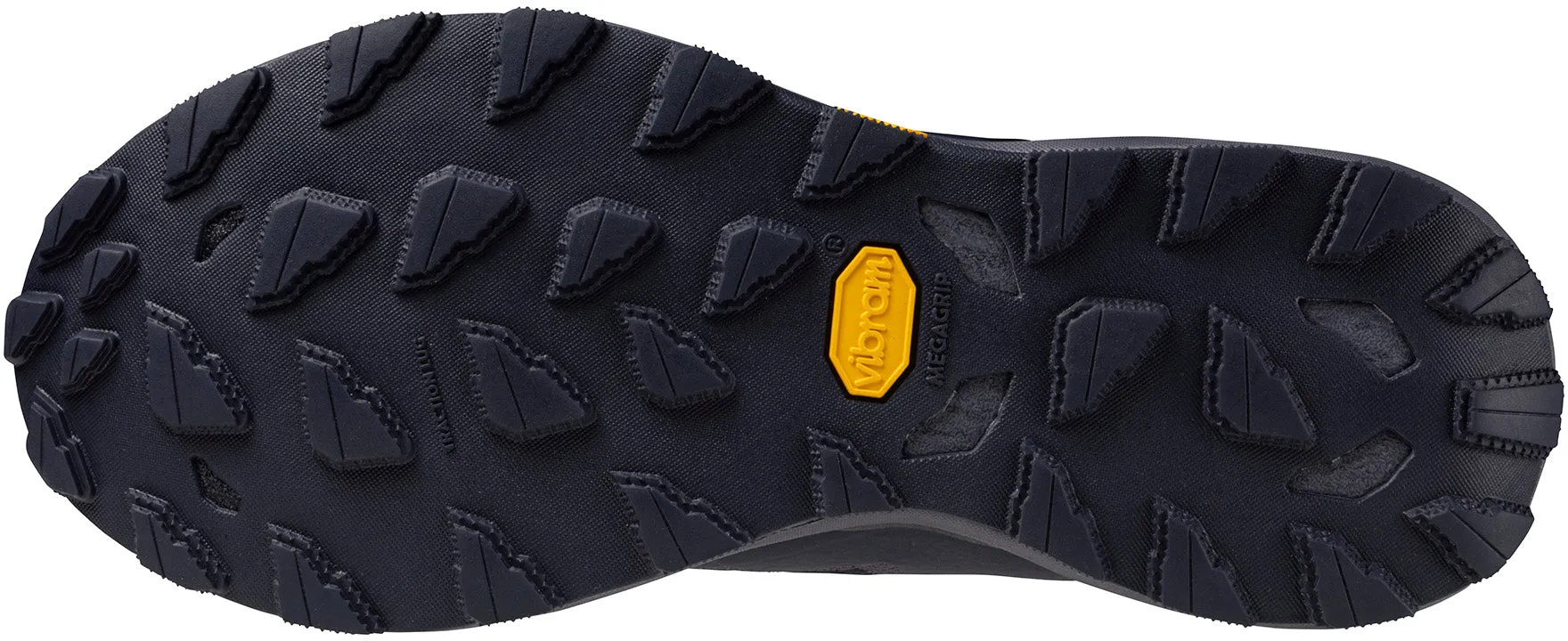 park - running shoes Mizuno Wave Daichi 9 GORE-TEX Womens Trail Running Shoes - Blue