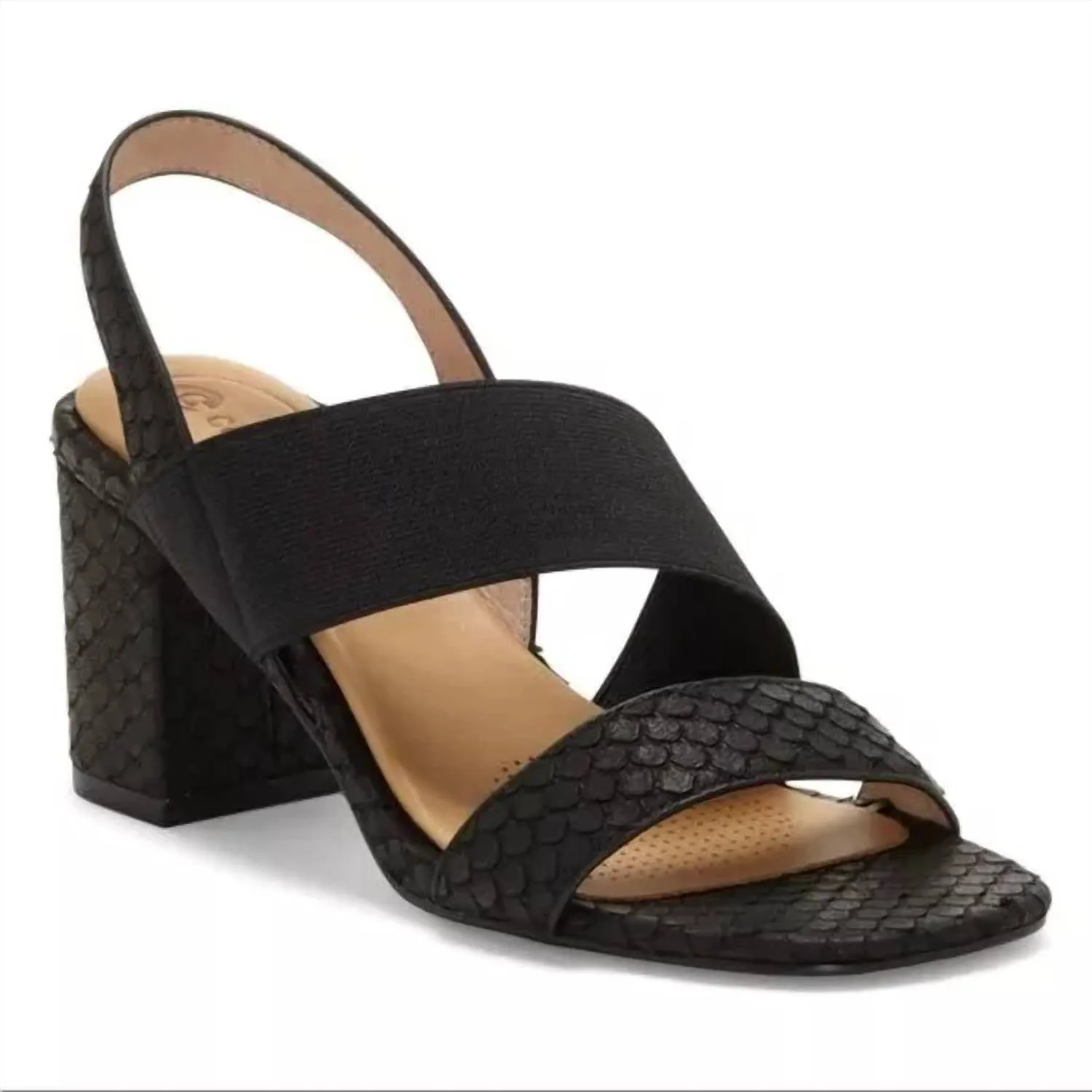Women's Hally2 Heeled Sandal In Black, Fanci Snake Comfy Footwear Open Toe Pumps